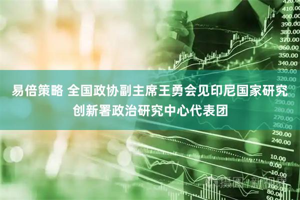 易倍策略 全国政协副主席王勇会见印尼国家研究创新署政治研究中心代表团