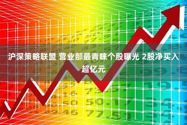 沪深策略联盟 营业部最青睐个股曝光 2股净买入超亿元