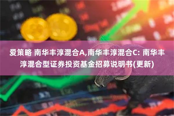 爱策略 南华丰淳混合A,南华丰淳混合C: 南华丰淳混合型证券投资基金招募说明书(更新)