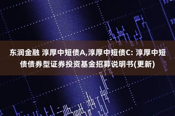 东润金融 淳厚中短债A,淳厚中短债C: 淳厚中短债债券型证券投资基金招募说明书(更新)