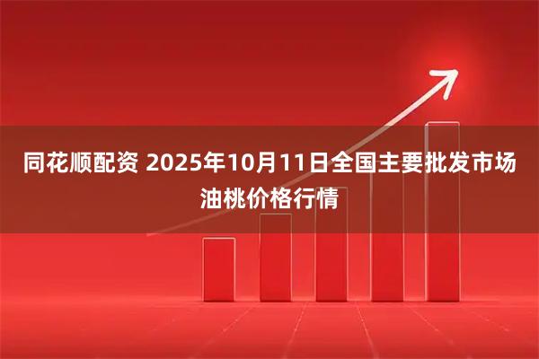 同花顺配资 2025年10月11日全国主要批发市场油桃价格行情