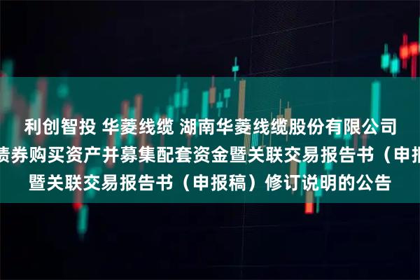 利创智投 华菱线缆 湖南华菱线缆股份有限公司关于发行可转换公司债券购买资产并募集配套资金暨关联交易报告书（申报稿）修订说明的公告