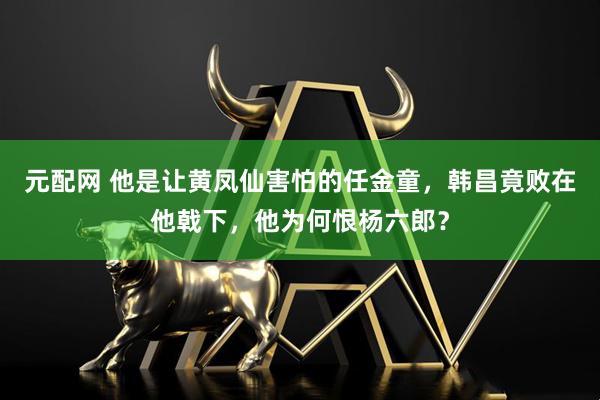 元配网 他是让黄凤仙害怕的任金童，韩昌竟败在他戟下，他为何恨杨六郎？